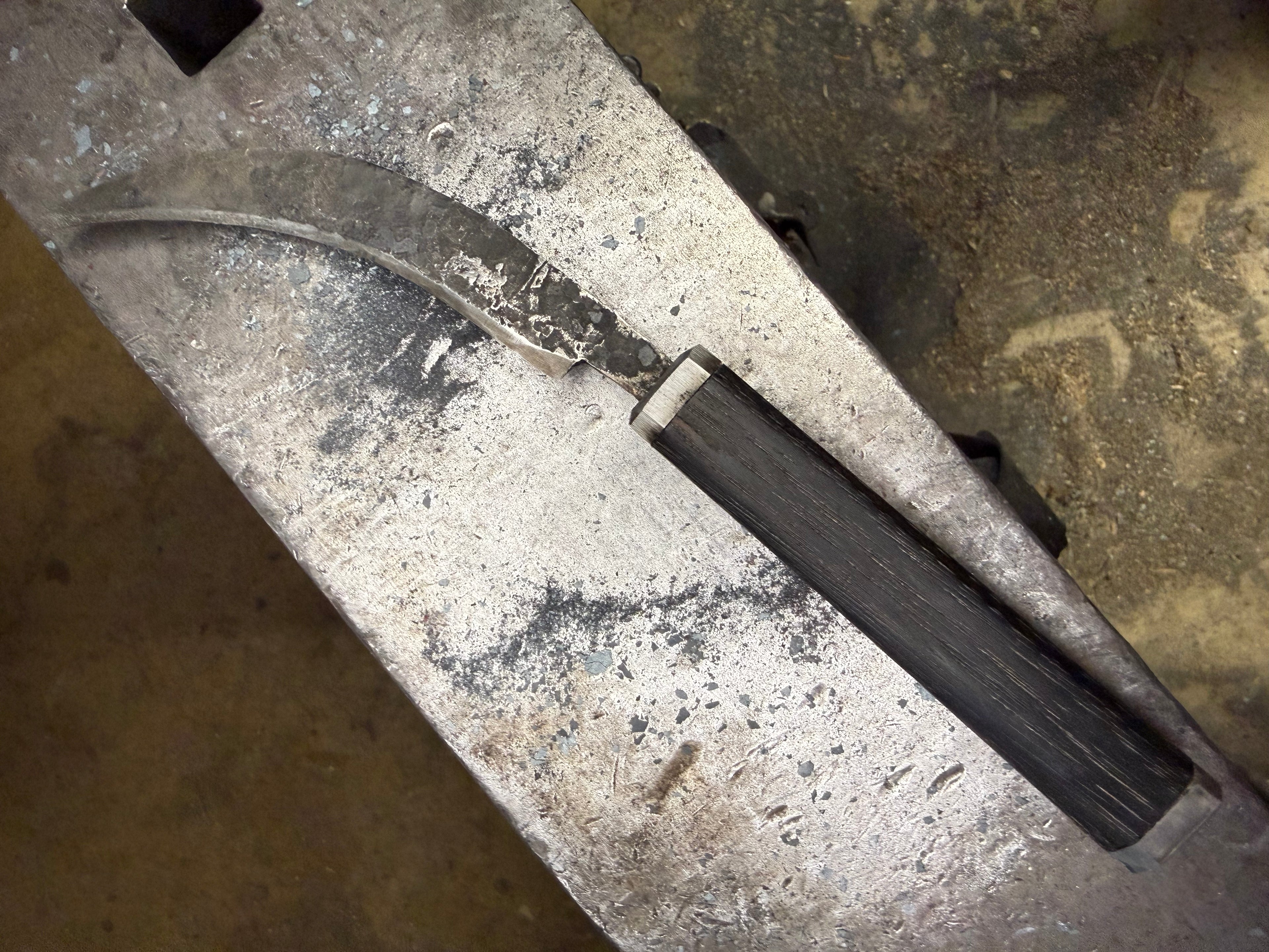 Foraging/Fungi Knife