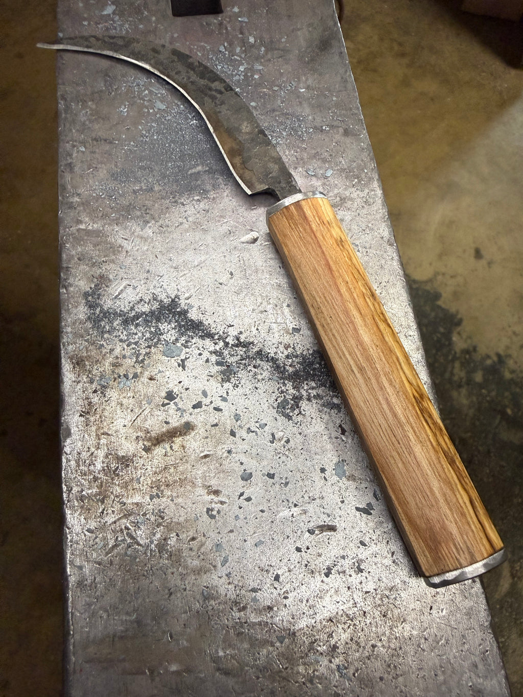 Foraging/Fungi Knife