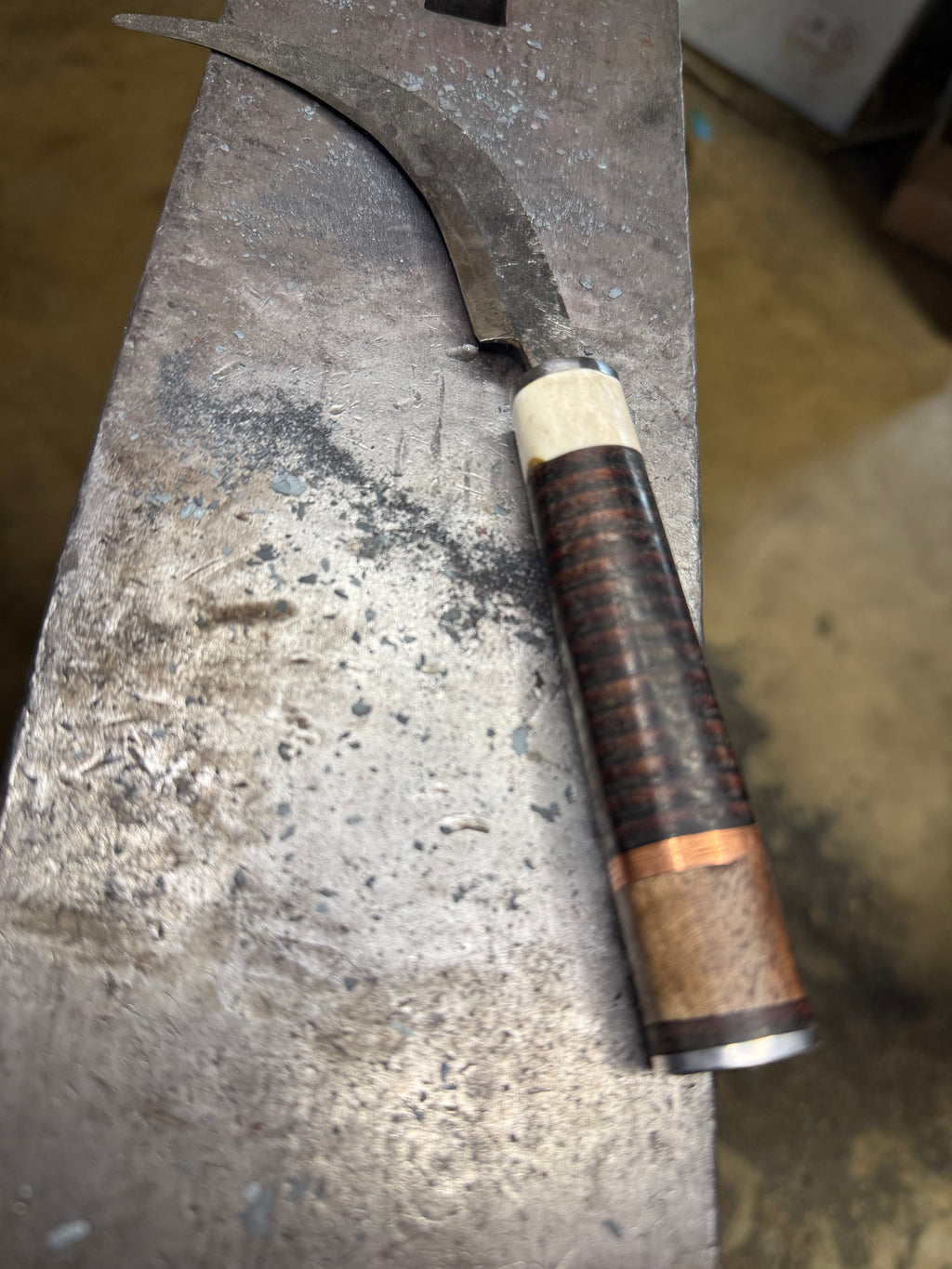 Foraging/Fungi Knife