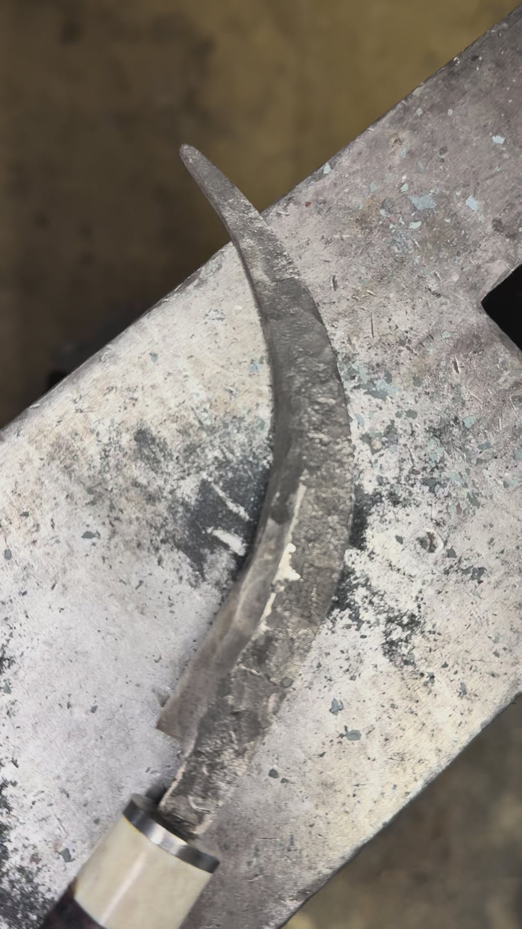 Foraging/Fungi Knife
