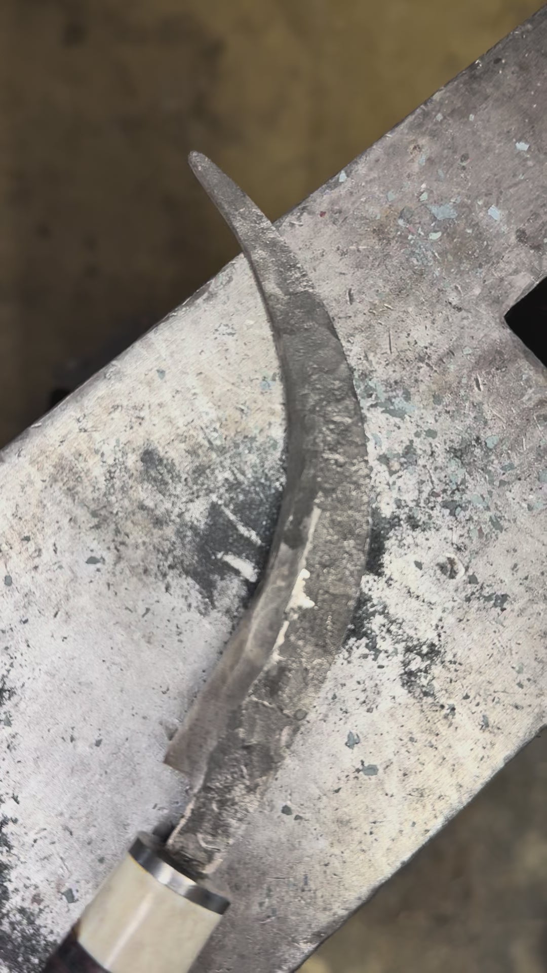 Foraging/Fungi Knife