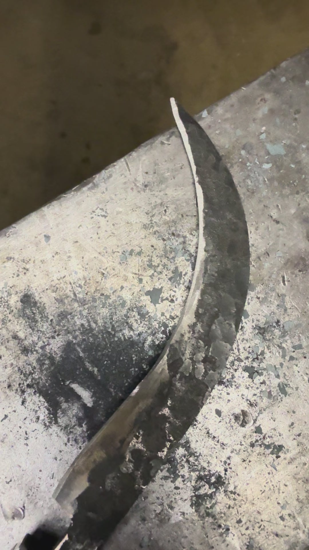 Foraging/Fungi Knife